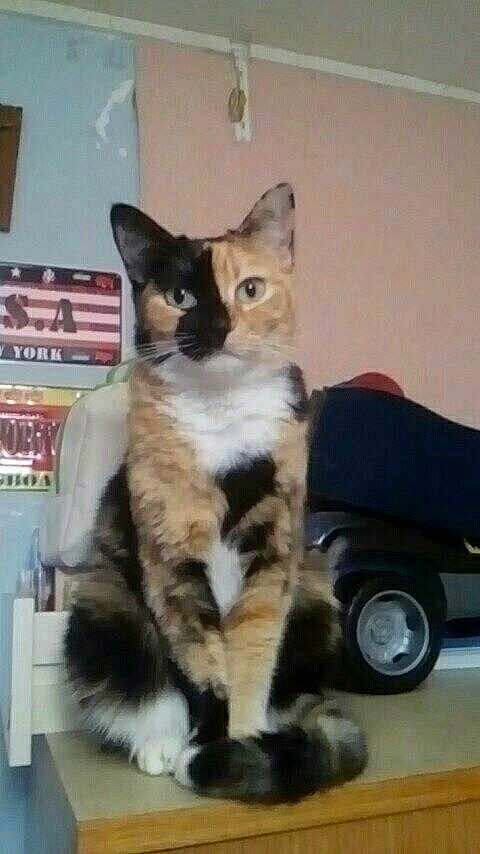 Double-face