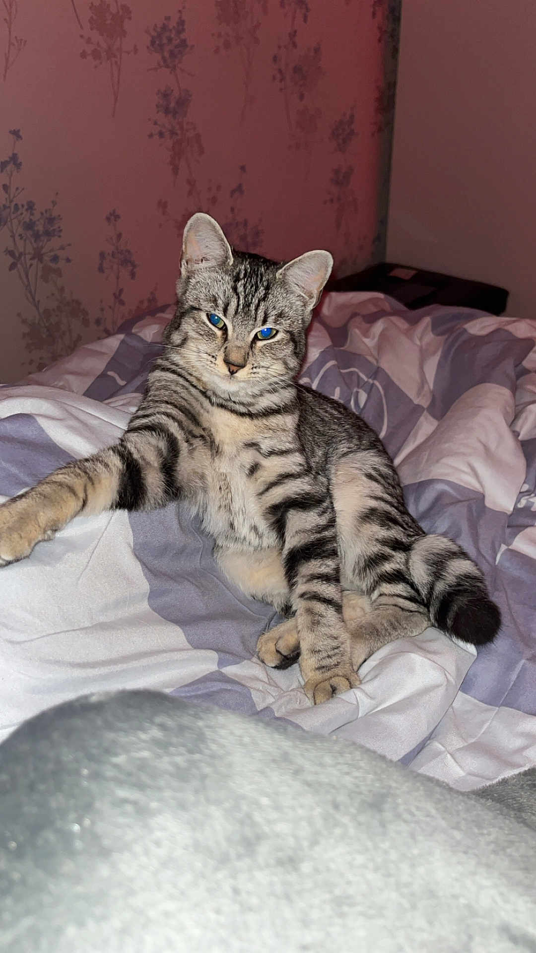 Nala