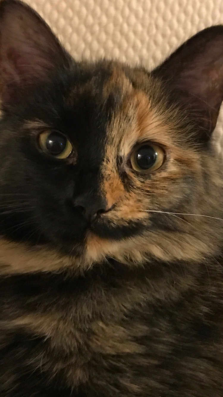 Charlie