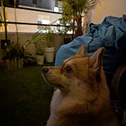 Pilou participe au concours pour gagner de l'argent avec cette photo :