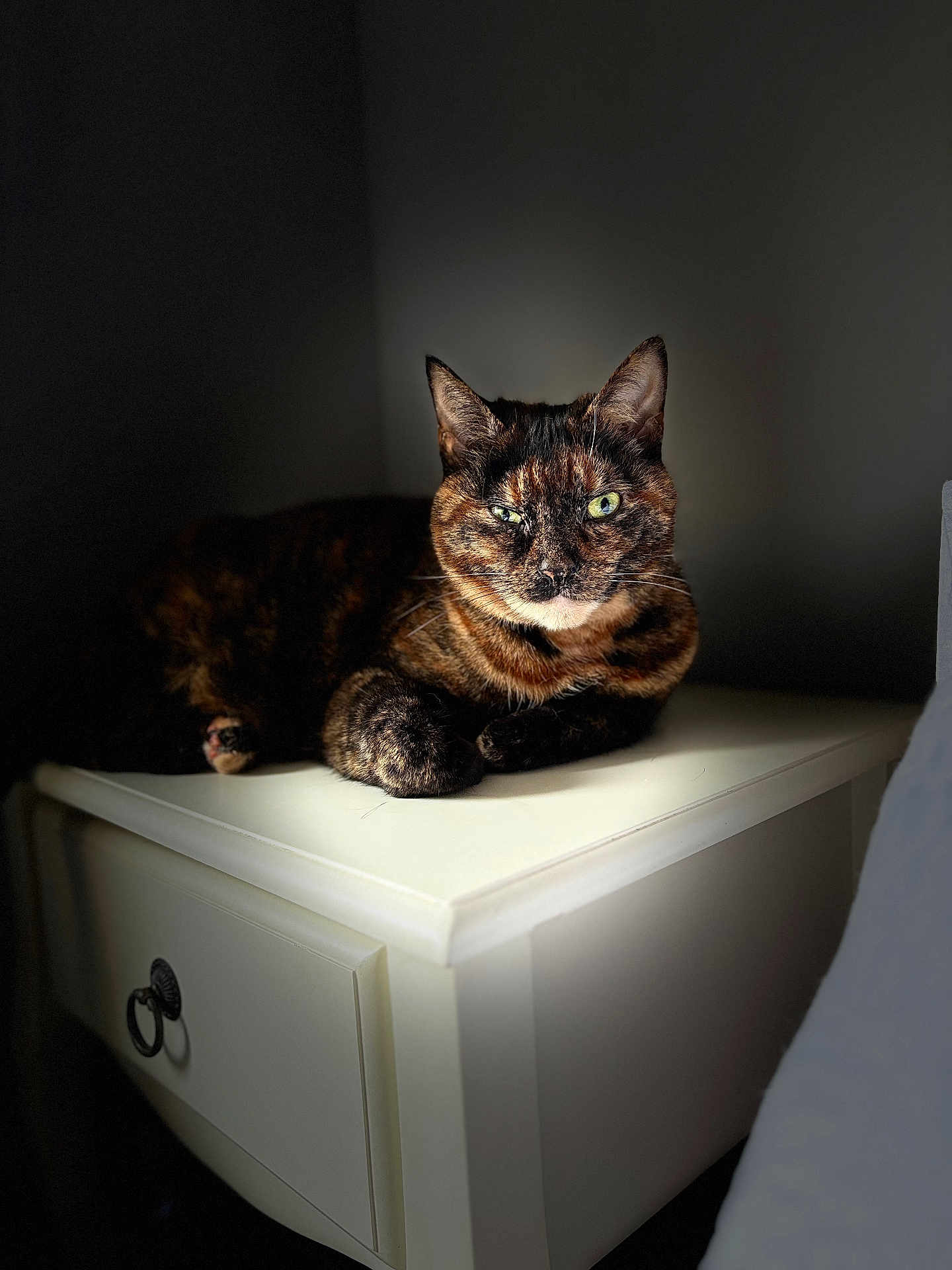 Livvi