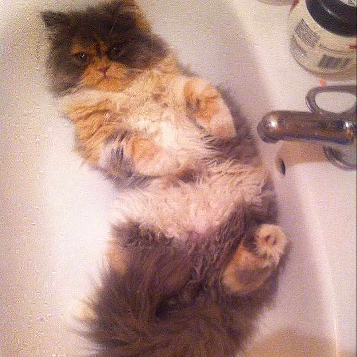 Abby