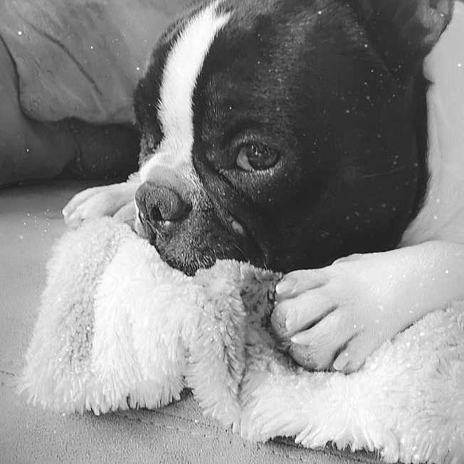 Prince
