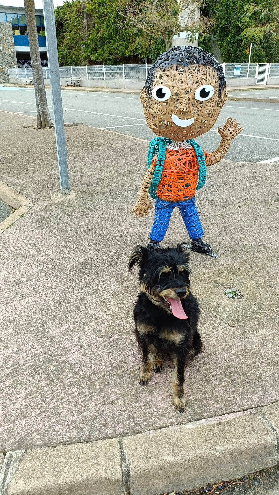 Louna a rejoint le concours — aidez-le/la à gagner de superbes lots ! asphalt, canidae, carnivore, collar, companion_dog, dog, dog_breed, dog_collar, dog_supply, dog_walking, fur, leash, mammal, road_surface, small_terrier, tail, terrier, tree, vertebrate, working_animal