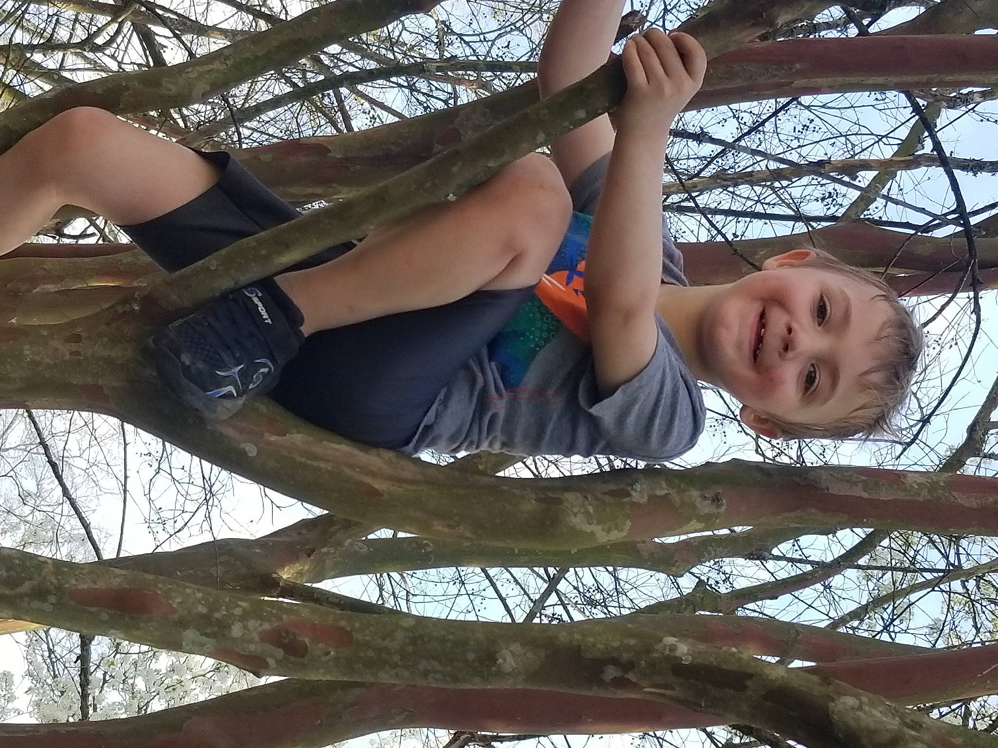 River is registered to the contest to win money with this photo: branch, elbow, face, fun, happy, human_leg, joy, knee, leg, leisure, people_in_nature, person, plant, sky, smile, thigh, toddler, tree, trunk, twig