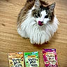 cat, fluffy, long_hair, licking_lips, wooden_floor, cat_food, cat_treats, friskies, party_mix, natural_yums, pets, animal, cute, domestic_cat, whiskers, ears, eyes, tongue, snack, ready_to_eat