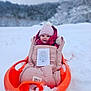 baby, blanket, child, cold, cozy, cute, face, happy, infant, jacket, orange_sled, outdoor, pink_hat, portrait, sled, smiling, snow, snowy_background, winter, winter_clothing