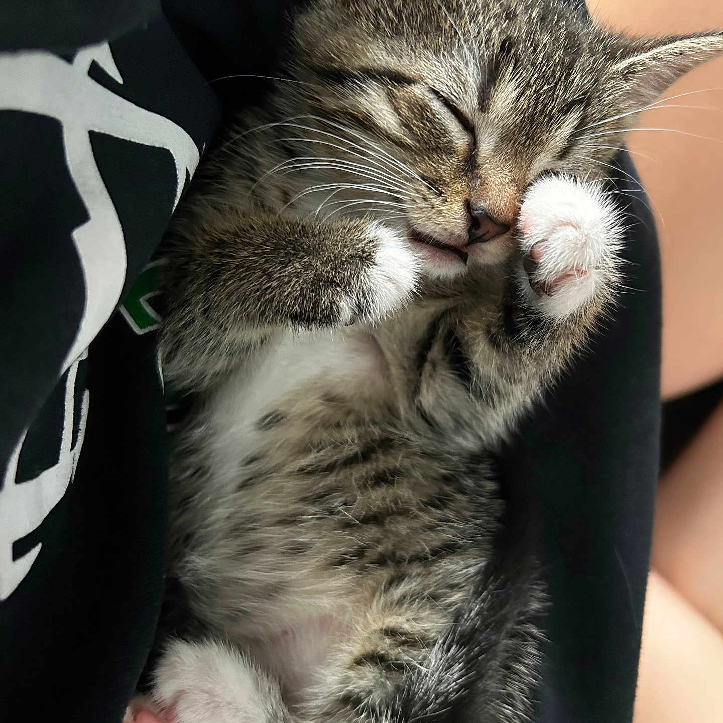 Rory