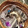 cat, tabby_cat, basket, blanket, toy_mouse, yarn_ball, sleeping, relaxed, indoor, cozy, pet, fur, whiskers, paws, stretching, home, floor, woven_basket, texture, colorful