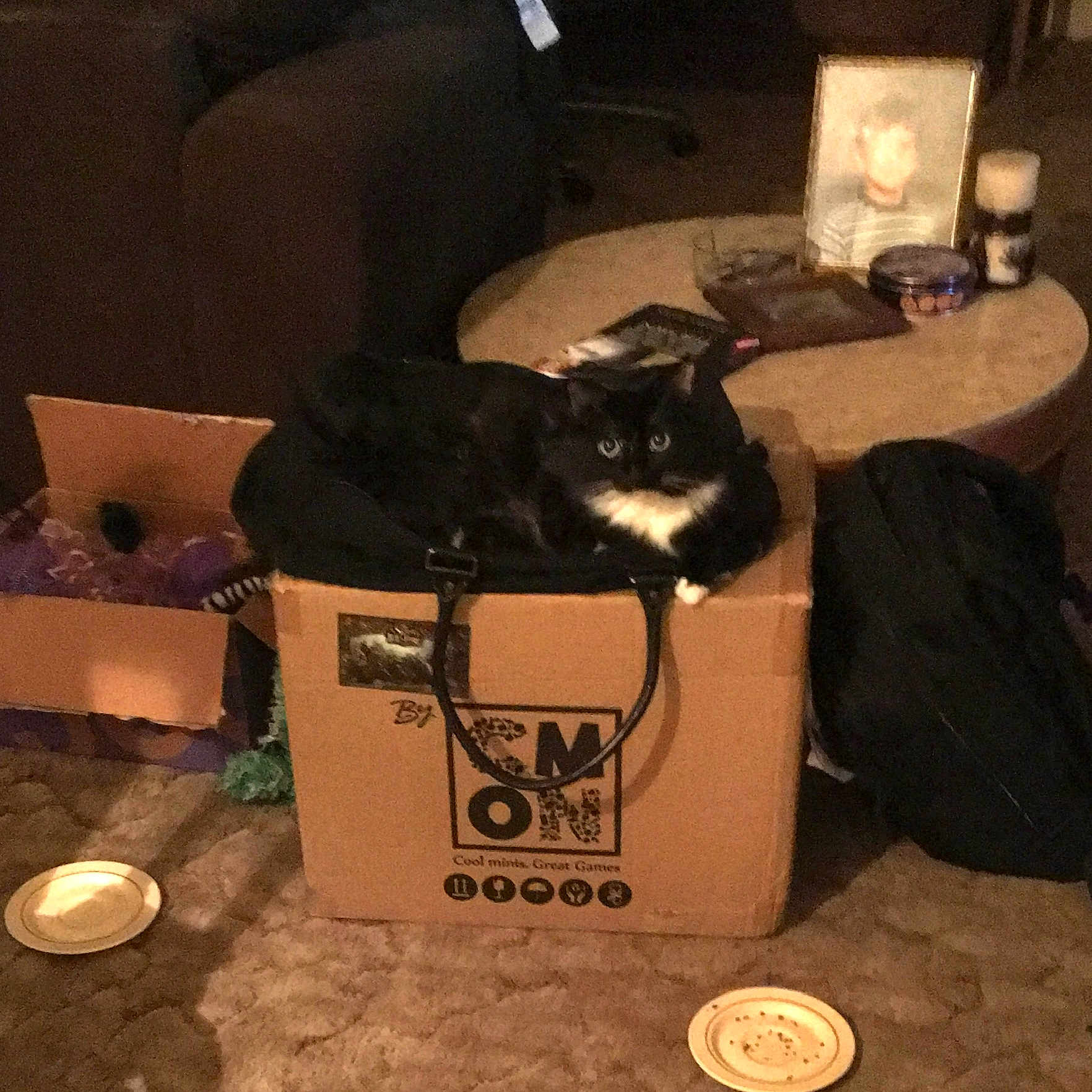Ms. Furball