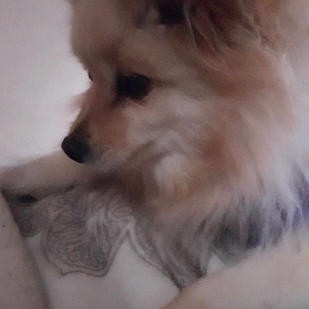 Roxy