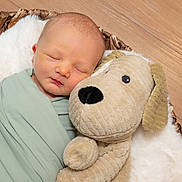 Brantley is registered to the contest to win money with this photo: baby, newborn, swaddled, blanket, plush_toy, stuffed_animal, dog_toy, sleeping, face, head, soft_texture, fur, wood_floor, cozy, resting, child, infant, cute, indoors, peaceful