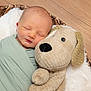 baby, newborn, swaddled, blanket, plush_toy, stuffed_animal, dog_toy, sleeping, face, head, soft_texture, fur, wood_floor, cozy, resting, child, infant, cute, indoors, peaceful