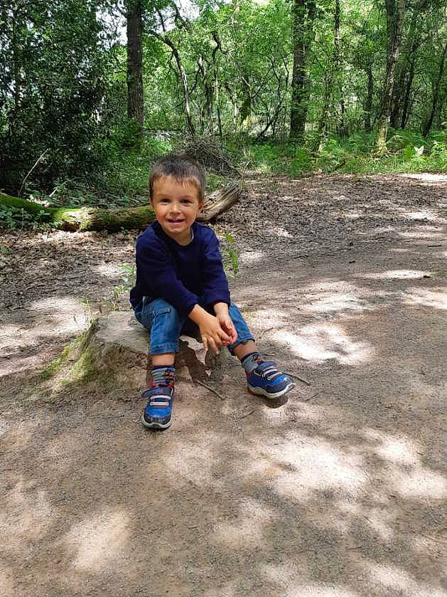 Enzo a rejoint le concours — aidez-le/la à gagner de superbes lots ! electric_blue, forest, fun, grass, jungle, landscape, leisure, natural_landscape, people_in_nature, person, plant, recreation, shorts, smile, soil, terrestrial_plant, toddler, tree, trunk, wood