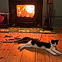 Shadow is registered to the contest to win money with this photo: cat, fireplace, fire, wooden_floor, rug, indoor, cozy, warm, black_and_white_cat, relaxing, home, hearth, tiles, fireplace_tools, pet, animal, resting, furniture, glowing, comfort