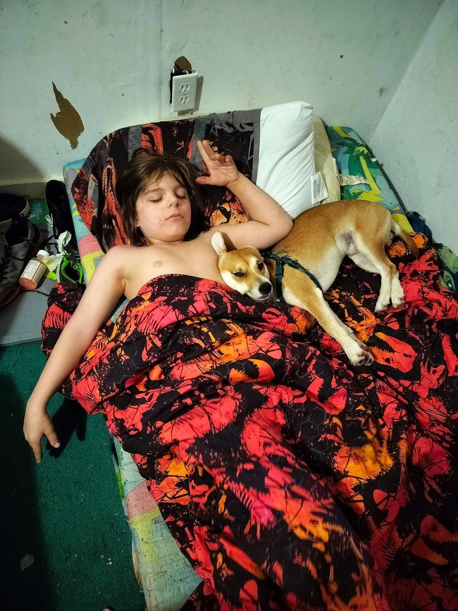 Zayden is registered to the contest to win money with this photo: abdomen, art_model, black_hair, brown_hair, companion_dog, couch, event, fashion_design, fashion_model, flash_photography, flooring, formal_wear, fun, happy, human_leg, long_hair, magenta, person, sitting, thigh