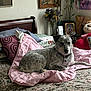 Augusta Coutelle is registered to the contest to win money with this photo: dog, bed, blanket, pillow, indoor, painting, plant, furniture, decor, cozy, resting, animal, pet, collar, patterned, living_room, comfort, relaxing, home, portrait