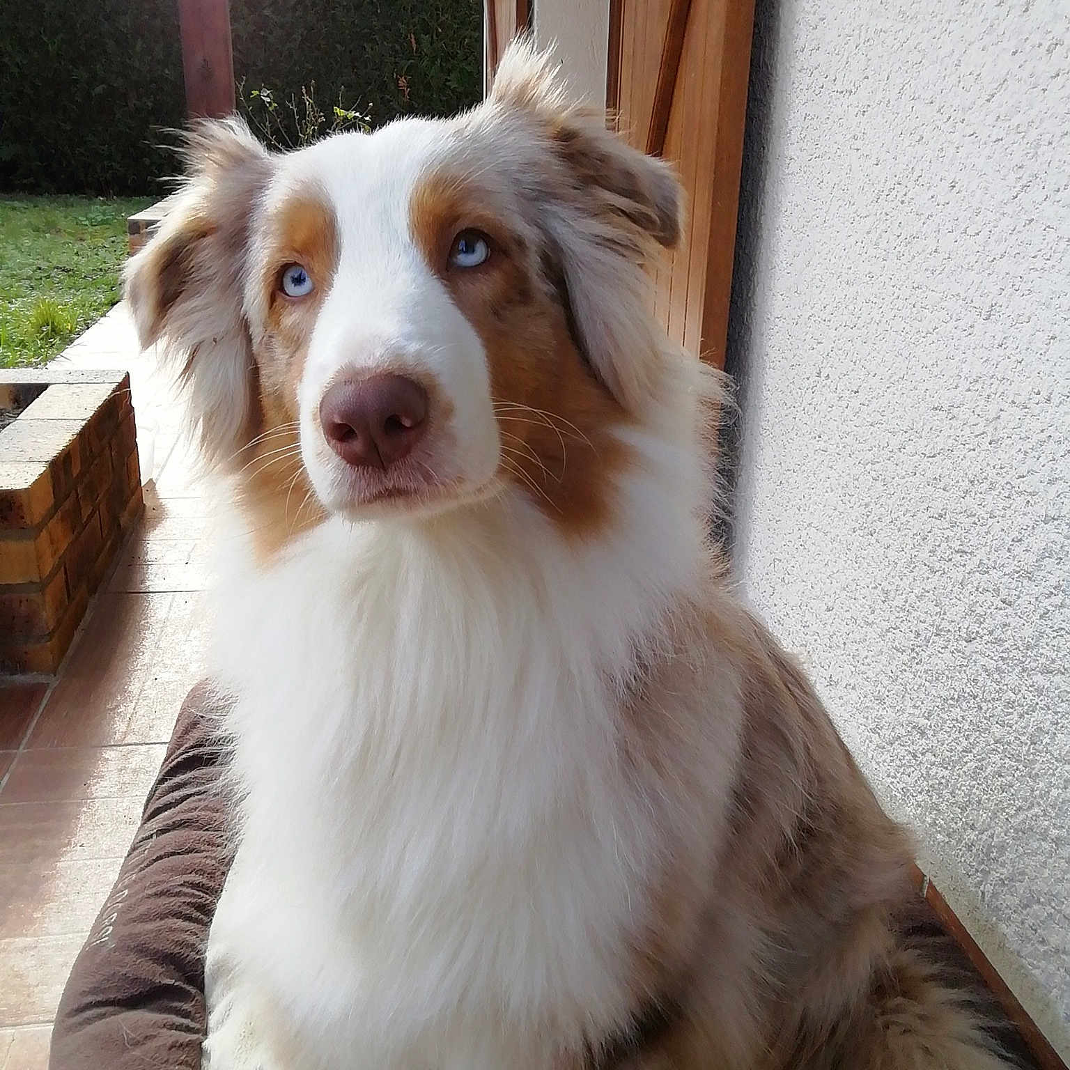 Skyla