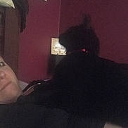 Shadow is registered to the contest to win money with this photo: black, black_hair, cloud, ear, electronic_device, finger, hand, leg, neck, night, room, selfie, sky