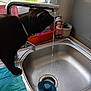 cat, black_cat, sink, kitchen, faucet, water, towel, potted_plant, figurine, indoor, pet, animal, drinking, countertop, window, curtain, metal, tap, domestic, household