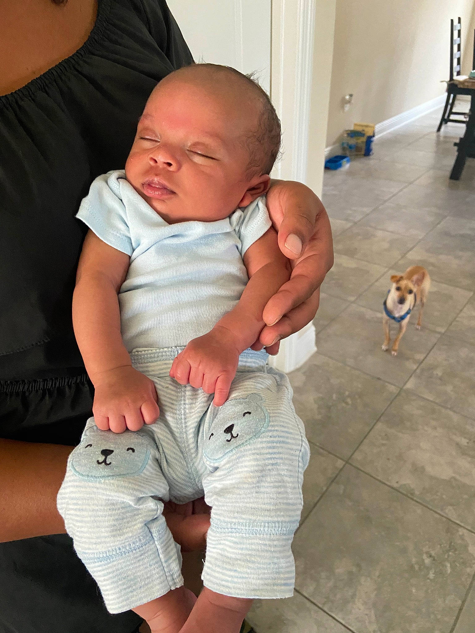 Elias is registered to the contest to win money with this photo: abdomen, arm, baby, child, joint, leg, muscle, person, sitting, toddler, trunk