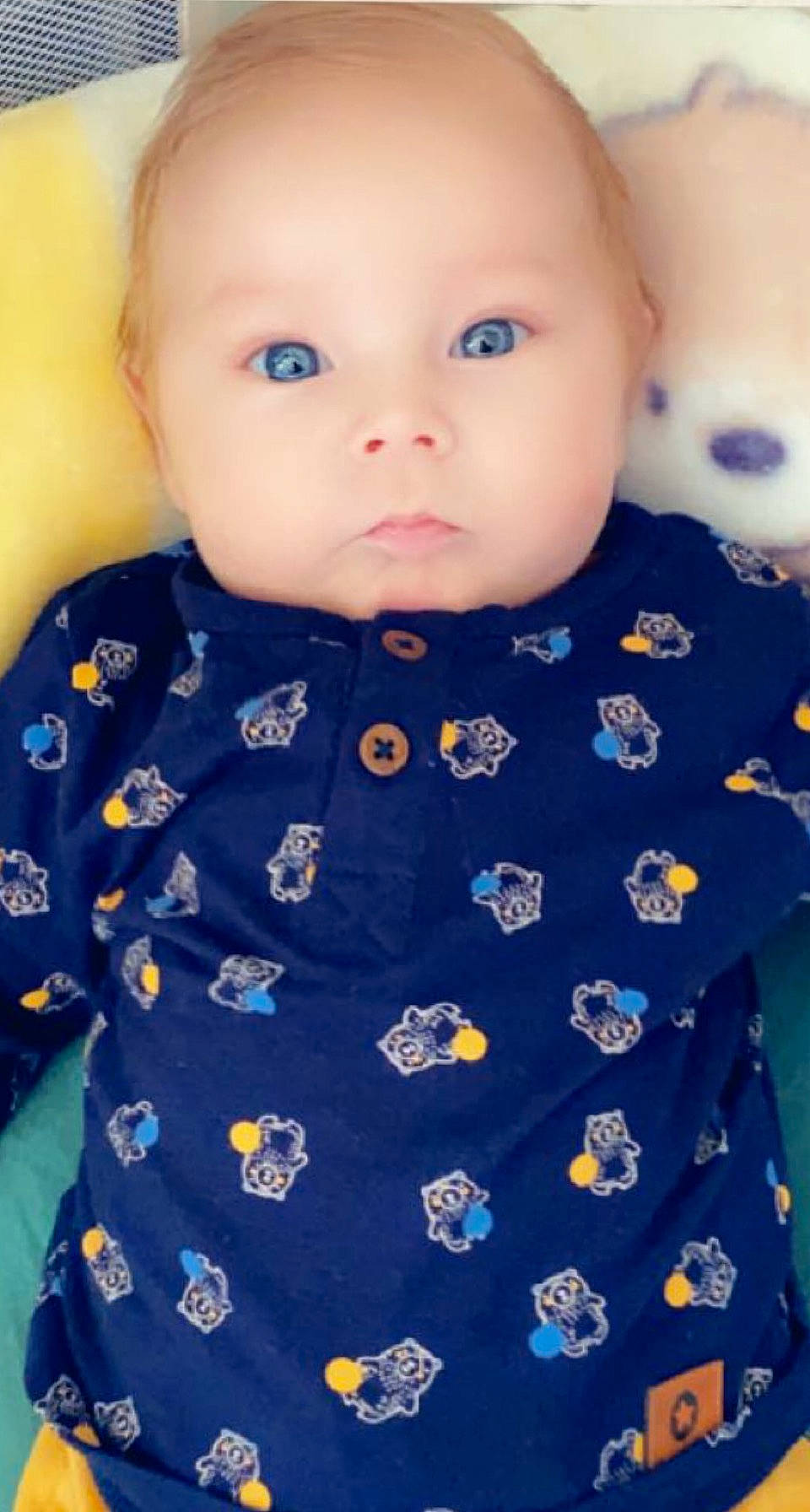 Melvin a rejoint le concours — aidez-le/la à gagner de superbes lots ! azure, baby, baby_toddler_clothing, cheek, collar, electric_blue, eye, face, head, iris, lip, neck, nose, outerwear, person, product, skin, sleeve, t_shirt, textile