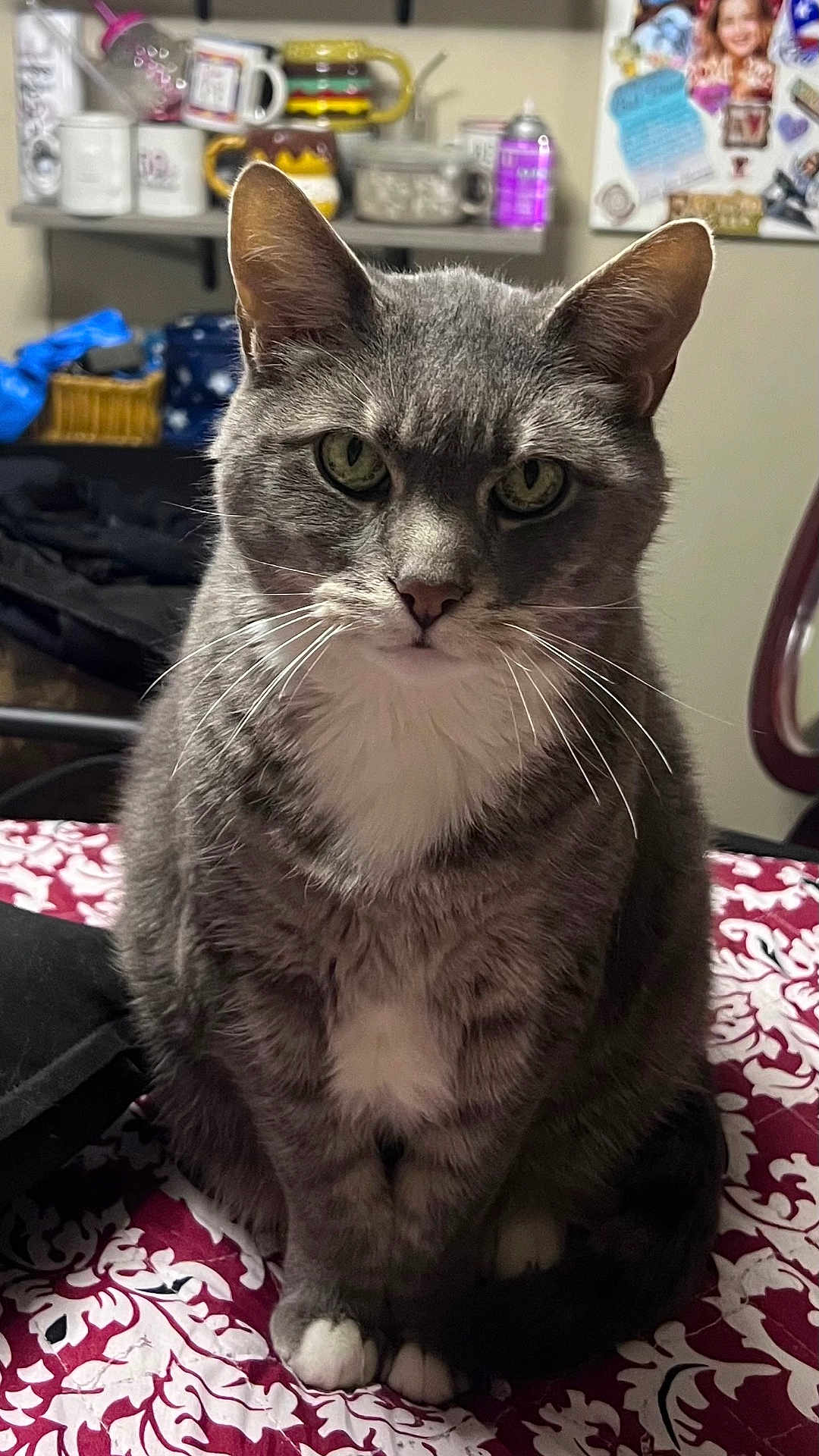 Dusty