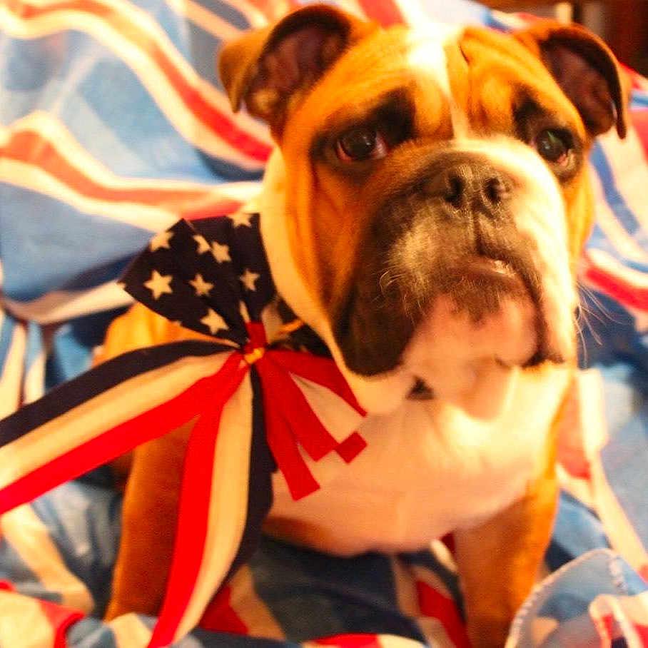 Harley is registered to the contest to win money with this photo: