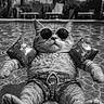 animal, cat, cool, cute, feline, floaties, fun, holiday, leisure, outdoor, pet, pool, relaxing, summer, sunglasses, sunny, swim_trunks, swimming, vacation, water