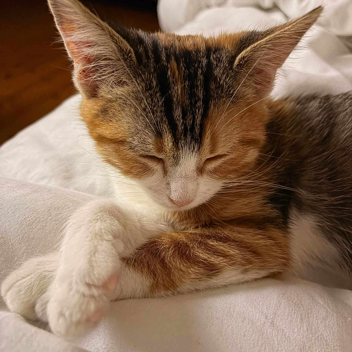 Cannelle
