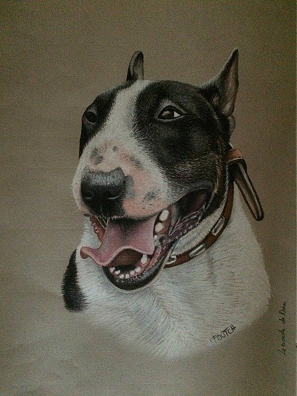 Poutch a rejoint le concours — aidez-le/la à gagner de superbes lots ! american_pit_bull_terrier, american_staffordshire_terrier, bull_and_terrier, bull_terrier, bull_terrier_miniature, canidae, carnivore, collar, dog, dog_breed, drawing, jaw, mammal, non_sporting_group, old_english_terrier, snout, terrier, vertebrate, whiskers