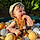 Elio
