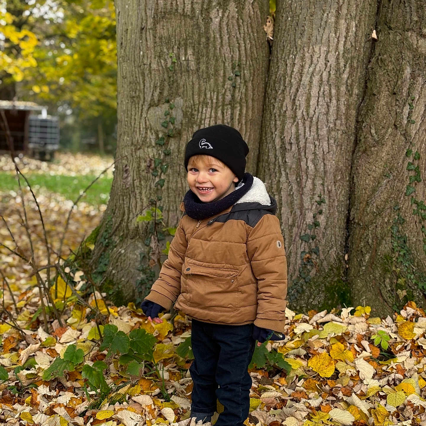 Jules a rejoint le concours — aidez-le/la à gagner de superbes lots ! boy, cap, child, clothing, coat, face, grove, hat, head, jacket, land, leaf, male, pants, person, photography, plant, portrait, tree, vegetation