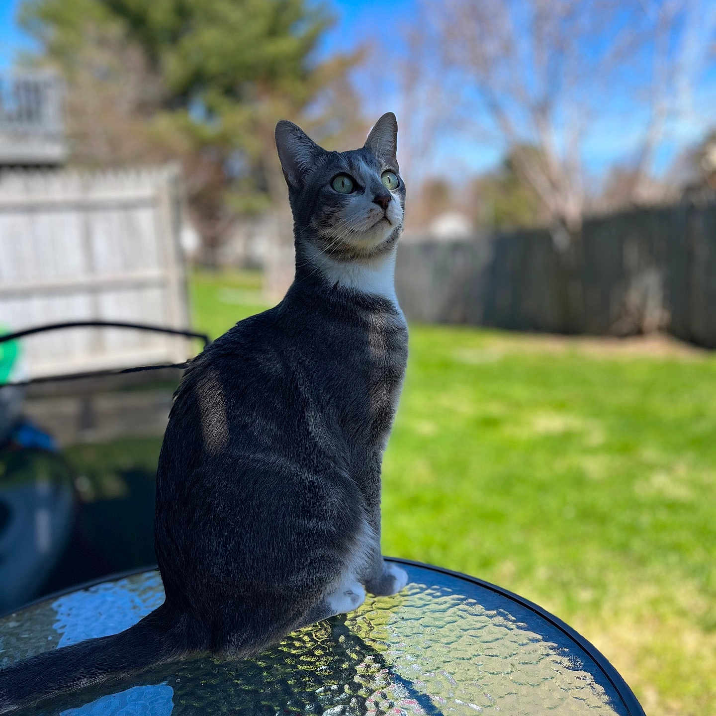 Max