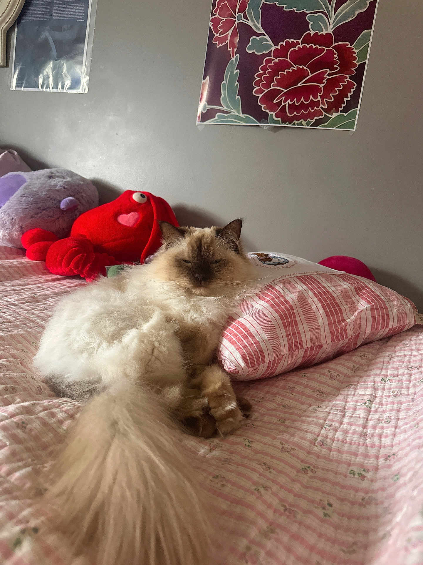 Coco
