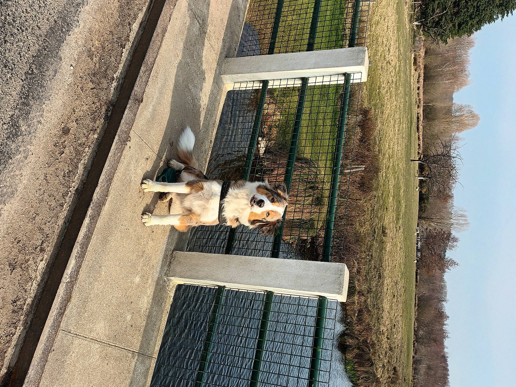 Sky participe au concours pour gagner de l'argent avec cette photo : asphalt, building, composite_material, concrete, facade, flooring, house, landscape, line, plant, reflection, road, road_surface, shadow, sidewalk, sky, tints_and_shades, tree, window, wood