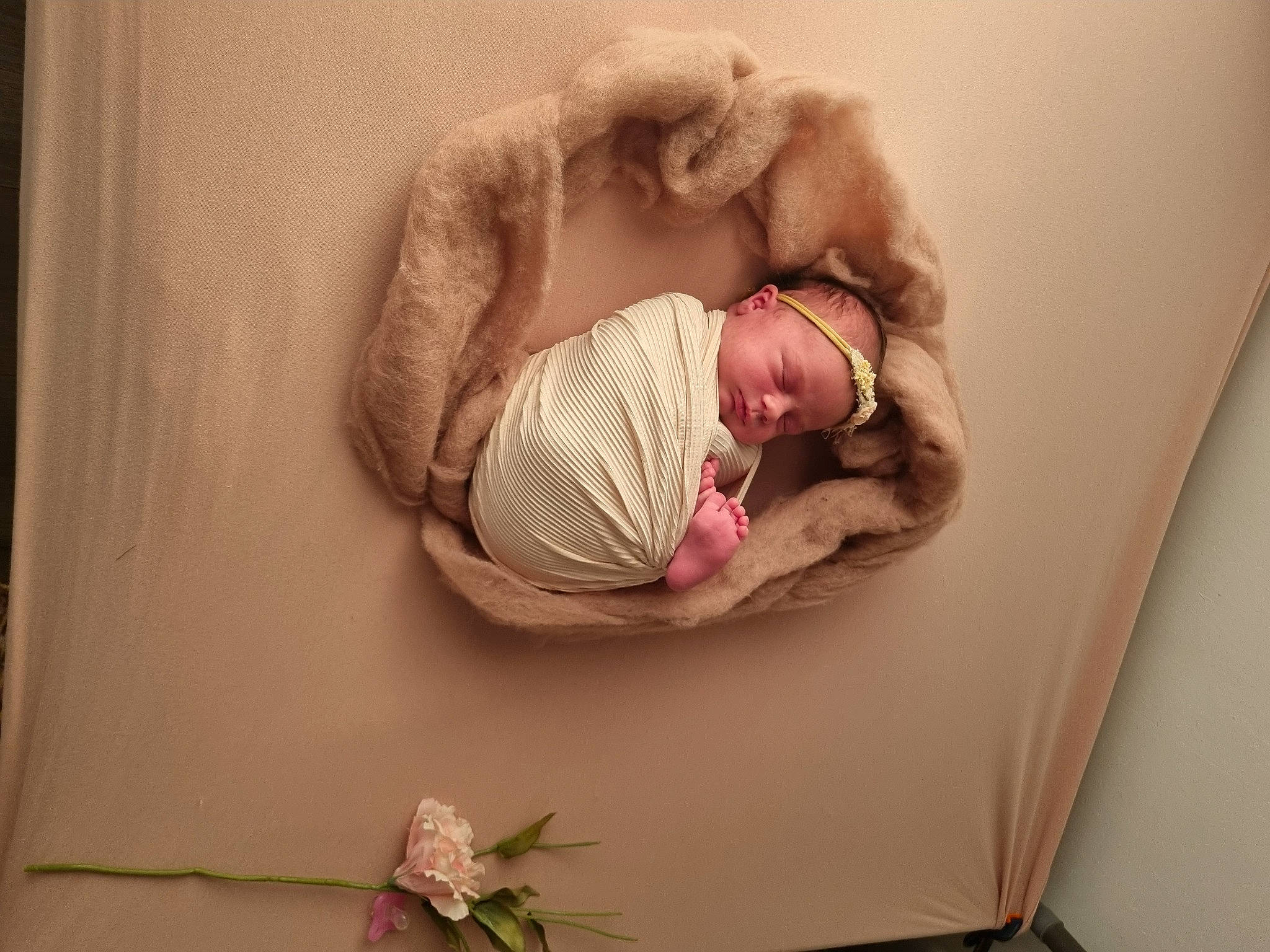 Abby participe au concours pour gagner de l'argent avec cette photo : arm, baby, baby_sleeping, baby_toddler_clothing, child, comfort, flower, glasses, hand, happy, head, human_body, leg, linens, person, pink, plant, sleeve, textile, toddler