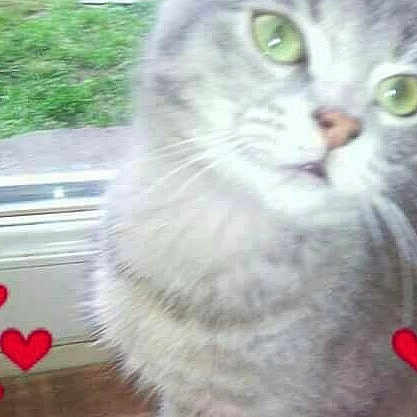 Princesse