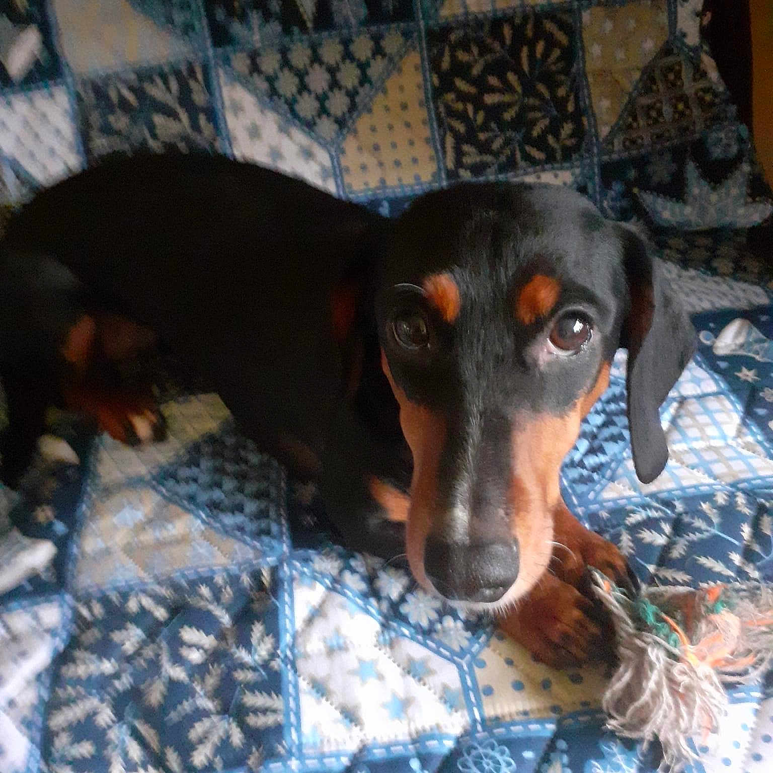 Poupette