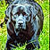 Nash