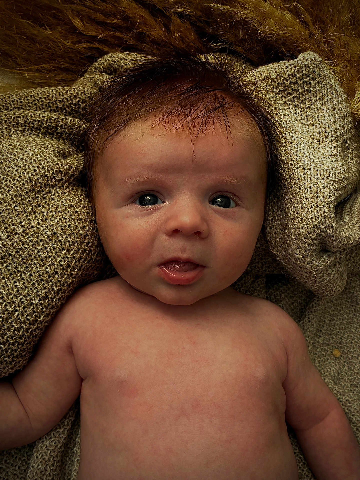 Imrân a rejoint le concours — aidez-le/la à gagner de superbes lots ! baby, infant, newborn, face, eyes, mouth, hair, torso, skin, blanket, knit_blanket, fur_background, portrait, close_up, laying_down, indoors, soft_texture, cute, expression, peaceful