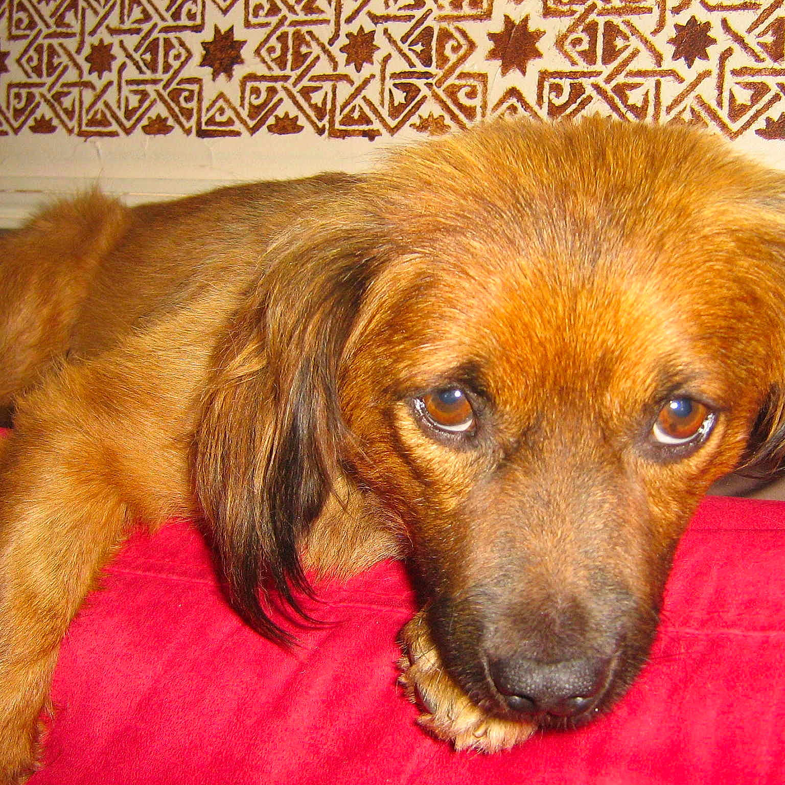 Lyhann participe au concours pour gagner de l'argent avec cette photo :