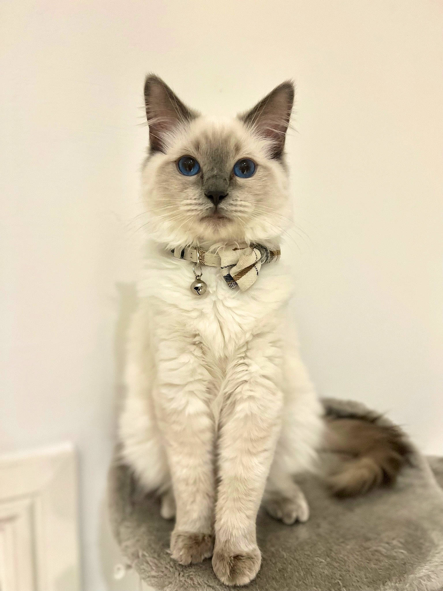 Oscar The Wild