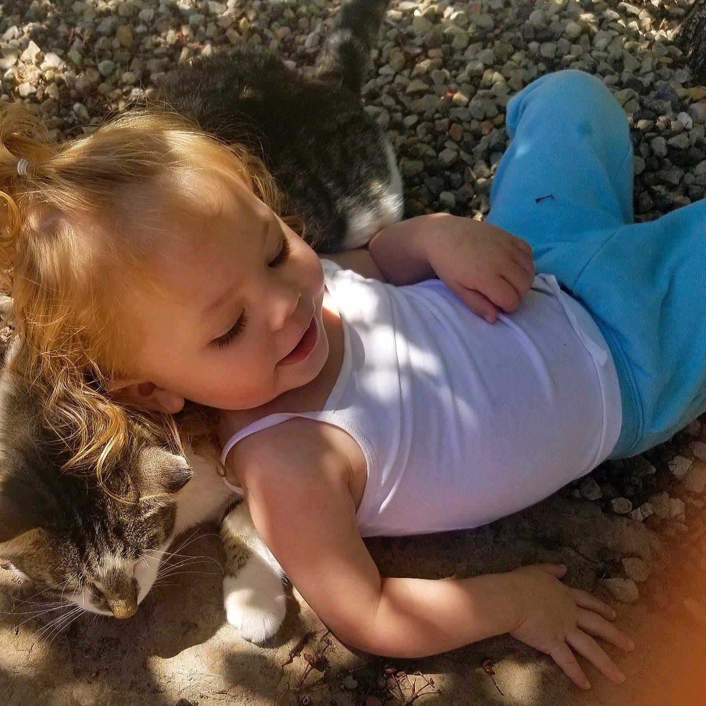 Fate joined the competition — help win amazing prizes! barefoot, blue_pants, casual_clothing, cat, child, closeup, cute, friendship, happy, nature, outdoor, pet, playing, relaxing, rocks, shadow, sunlight, tabby_cat, toddler, white_tank_top