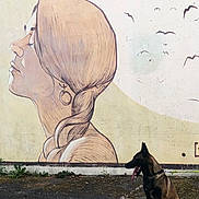 Vaya participe au concours pour gagner de l'argent avec cette photo : dog, mural, wall_art, street_art, painted_woman, braided_hair, earring, red_sun, birds, asphalt, outdoor, daylight, sitting_dog, collar, shadow, urban, graffiti, side_view, profile, nature