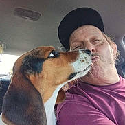 Yota is registered to the contest to win money with this photo: affection, black, brown, cap, car, casual, closeup, collar, dog, expression, friendship, head, human, indoor, kiss, man, nose, pet, seat, white