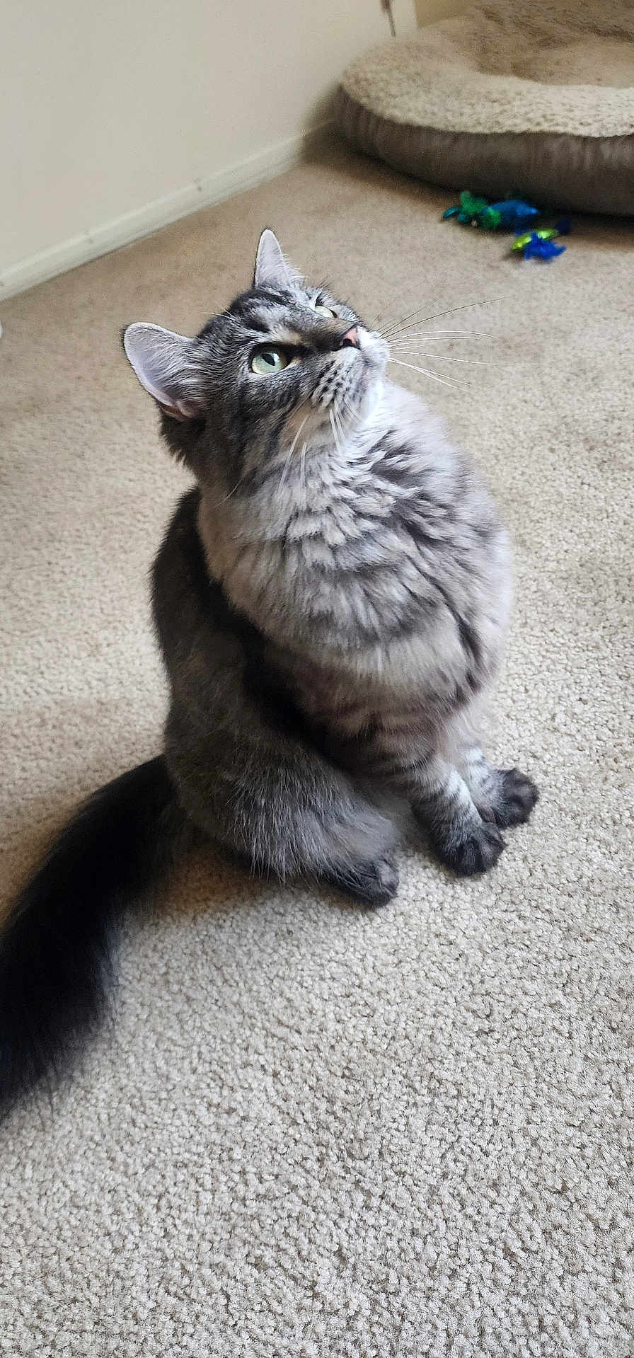 Onyx