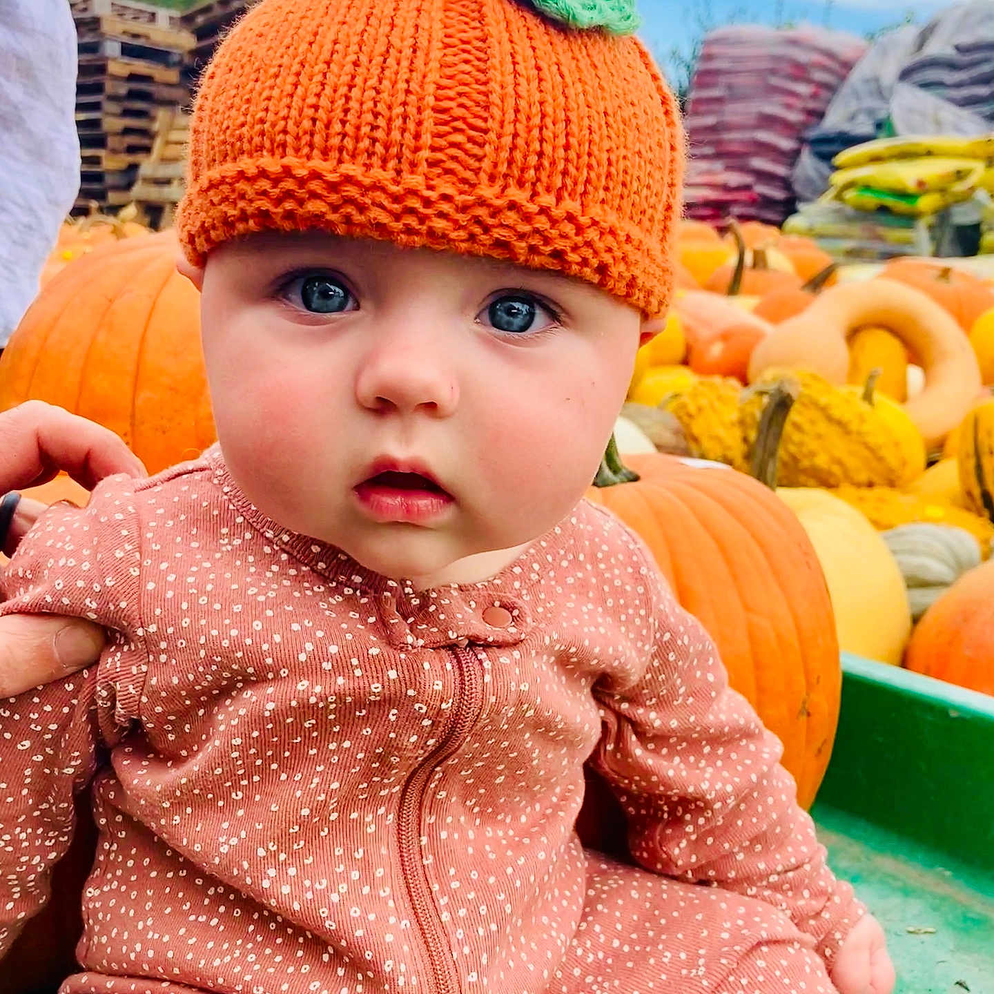 Rylie joined the competition — help win amazing prizes! baby, beanie, bonnet, cap, clothing, coat, face, food, hat, head, jacket, leaf, person, photography, plant, portrait, produce, pumpkin, squash, vegetable