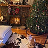 Gnocchi is registered to the contest to win money with this photo: animal, cat, christmas_tree, cozy, decorations, festive, fireplace, furniture, holiday, indoor, lights, living_room, orange_cat, ornaments, pet, rug, stockings, warmth, white_cat, wood_floor