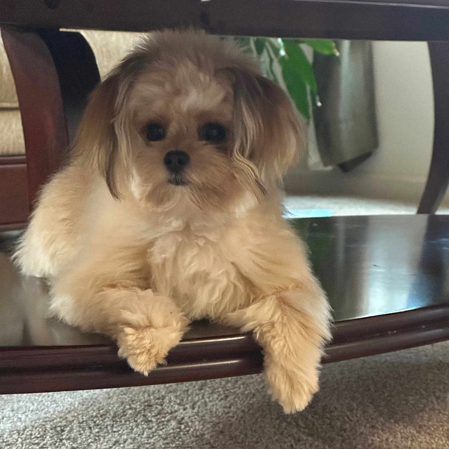Bailey